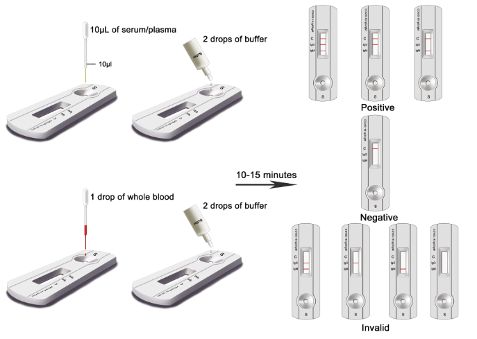 SARS-CoV2 Fast Detection Kit – Antibody Test Kit
