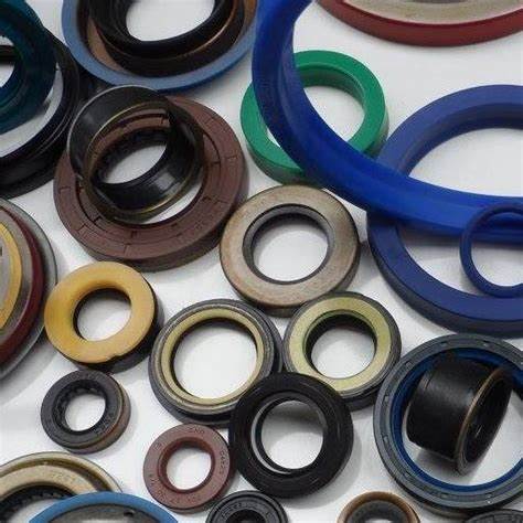 O-RINGS & PACKINGS